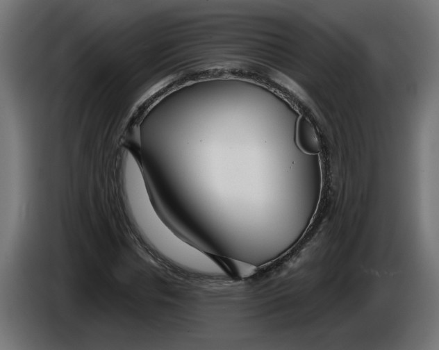 X0000086100826200704132145