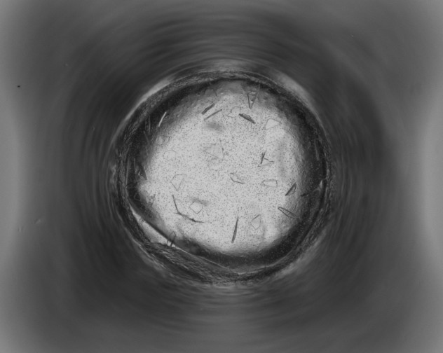 X0000086100827200704132145