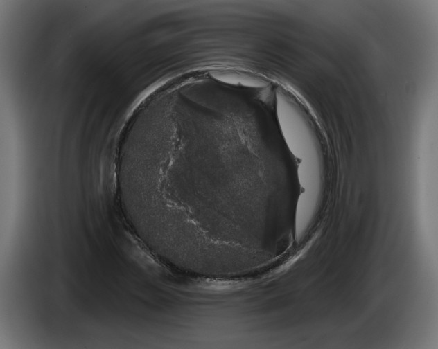 X0000086100829200704132145