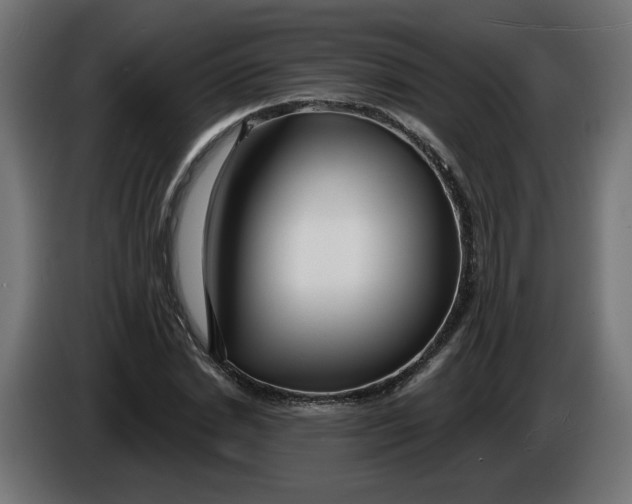 X0000086100830200704132145