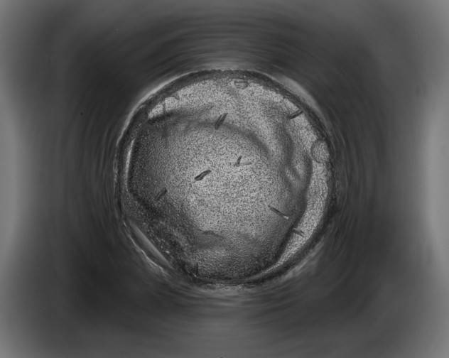 X0000086100831200704132145