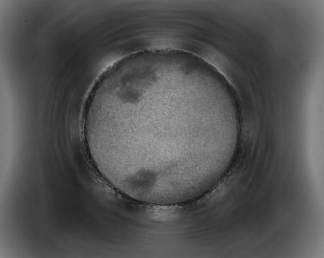X0000086100832200704132145