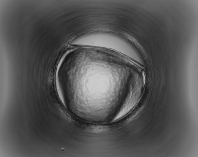 X0000086100833200704132145