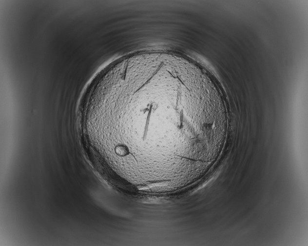 X0000086100835200704132145