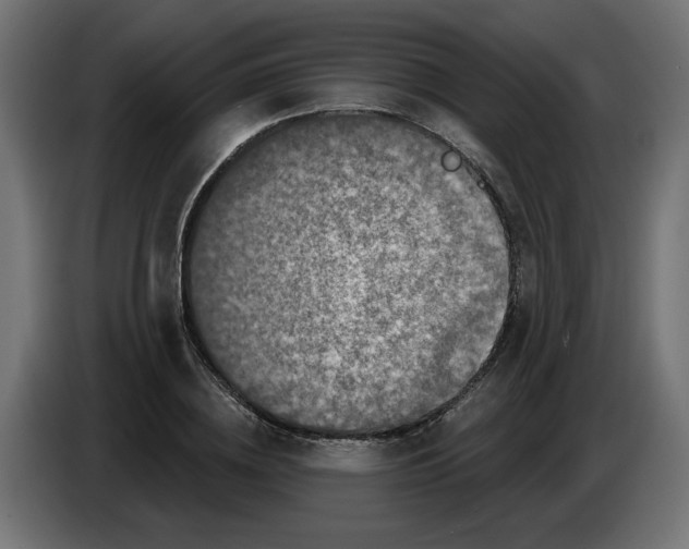 X0000086100836200704132145