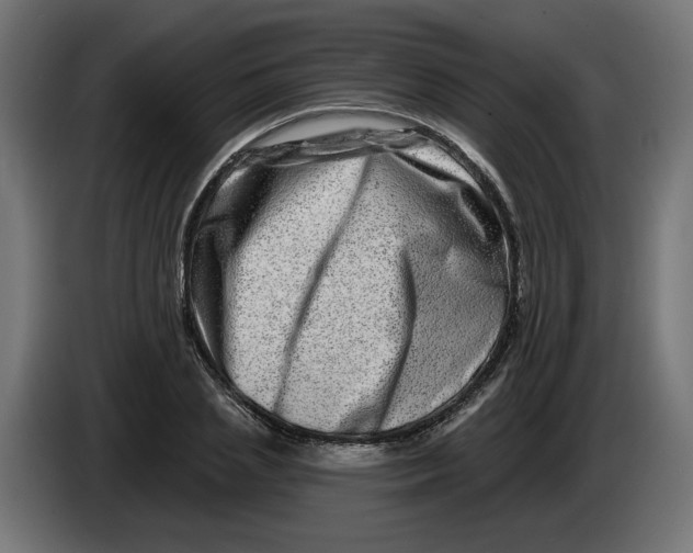 X0000086100837200704132145
