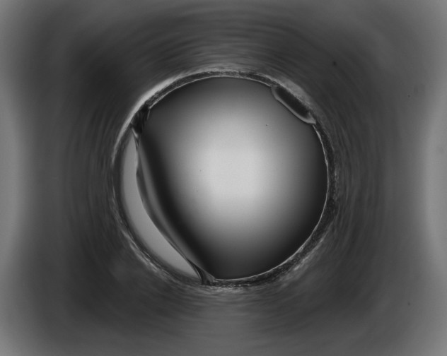 X0000086100838200704132145