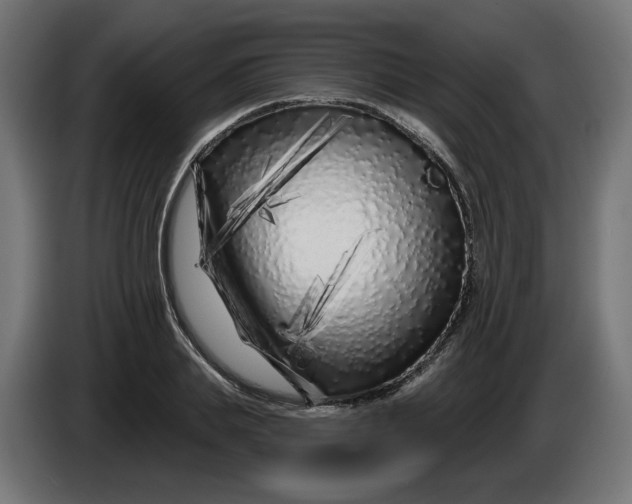 X0000086100839200704132145