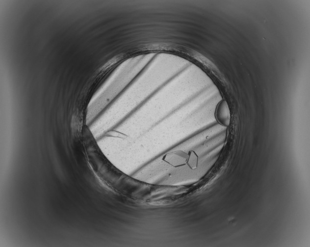 X0000086100841200704132146