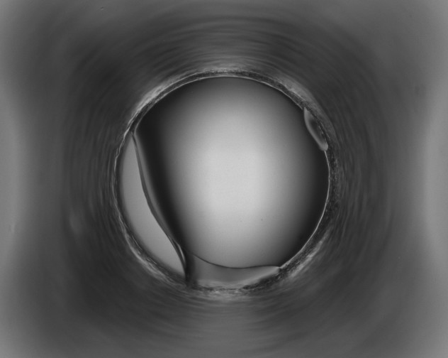 X0000086100842200704132146
