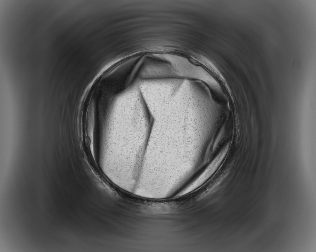 X0000086100843200704132146