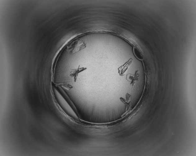 X0000086100844200704132146