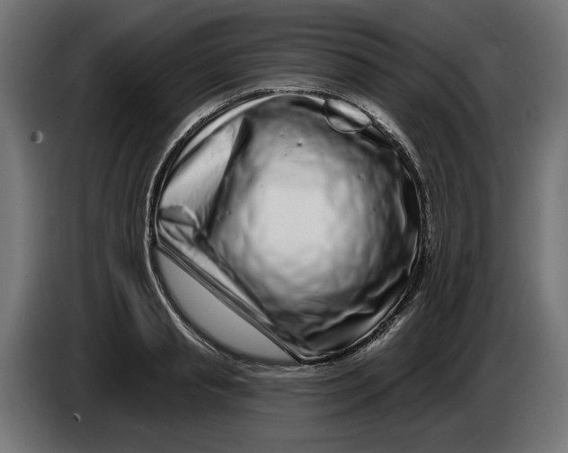 X0000086100845200704132146