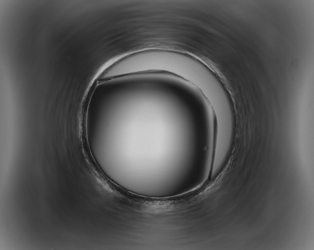 X0000086100846200704132146