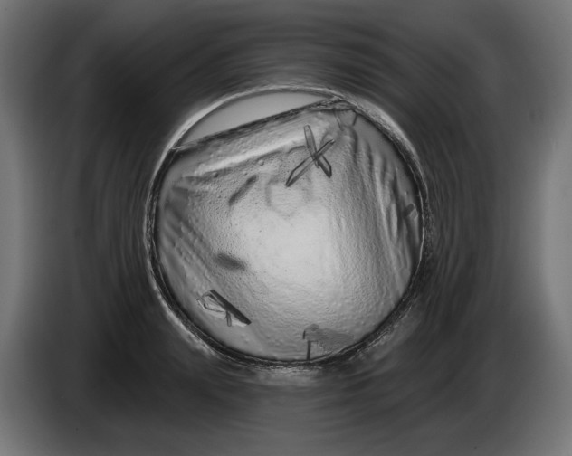 X0000086100847200704132146