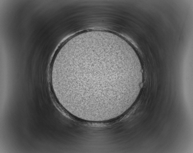 X0000086100848200704132146