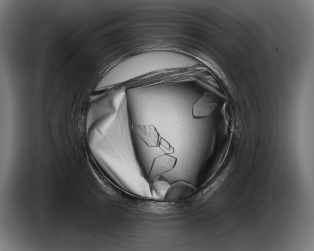 X0000086100849200704132146