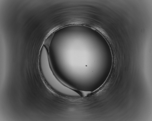 X0000086100850200704132146