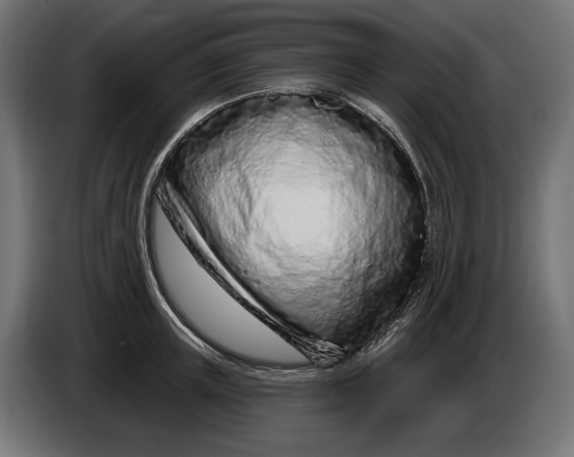 X0000086100851200704132146