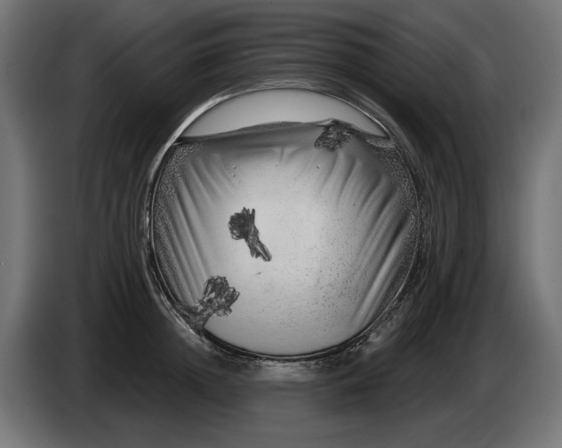 X0000086100852200704132146