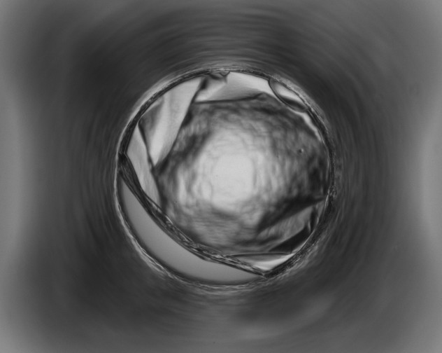 X0000086100853200704132146