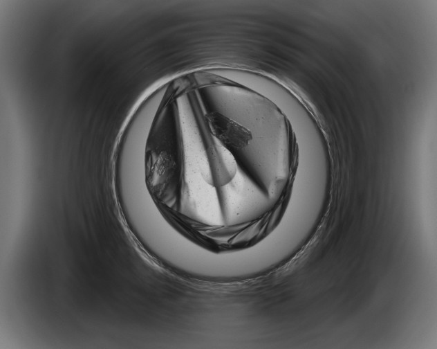 X0000086100854200704132146