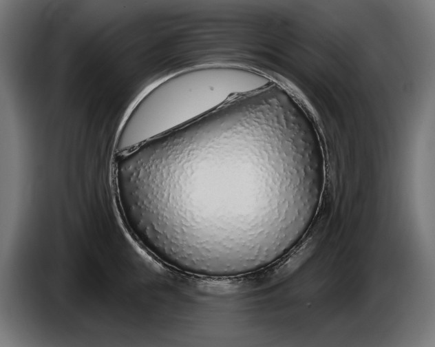 X0000086100855200704132146