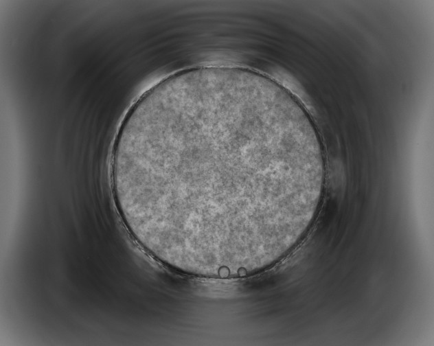 X0000086100856200704132146