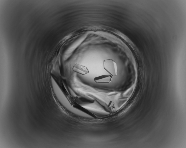 X0000086100857200704132146