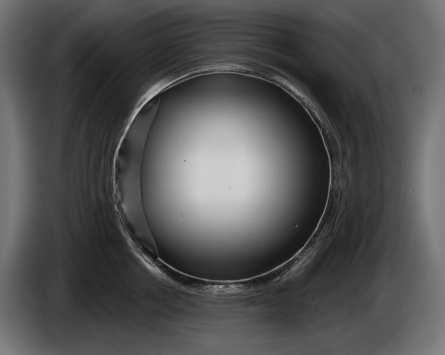 X0000086100858200704132146