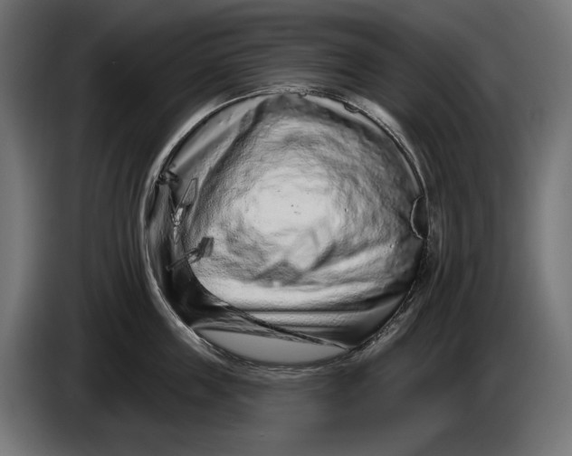 X0000086100859200704132146