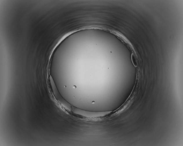 X0000086100860200704132146