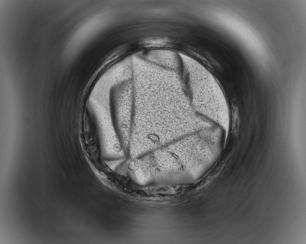 X0000086100861200704132146