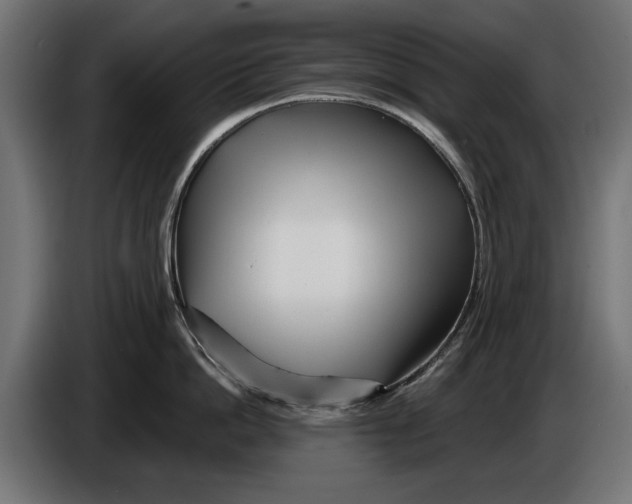 X0000086100862200704132146