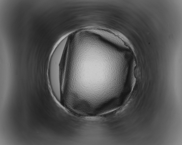 X0000086100863200704132146
