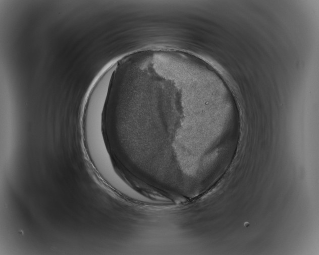 X0000086100864200704132146