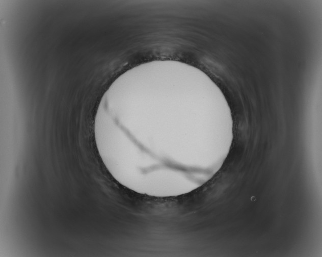 X0000086100865200704132145