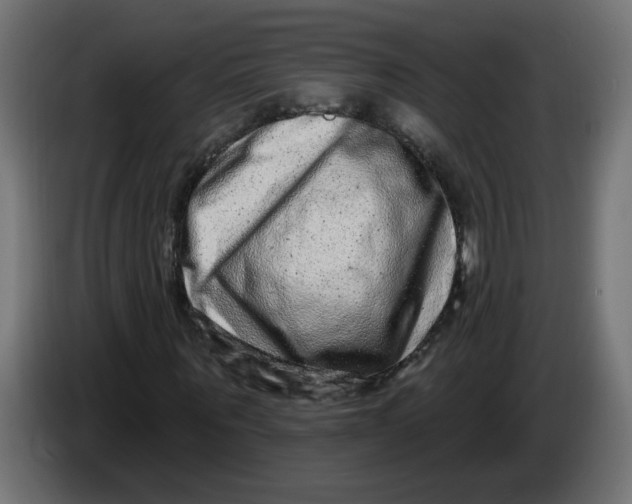 X0000086100867200704132145