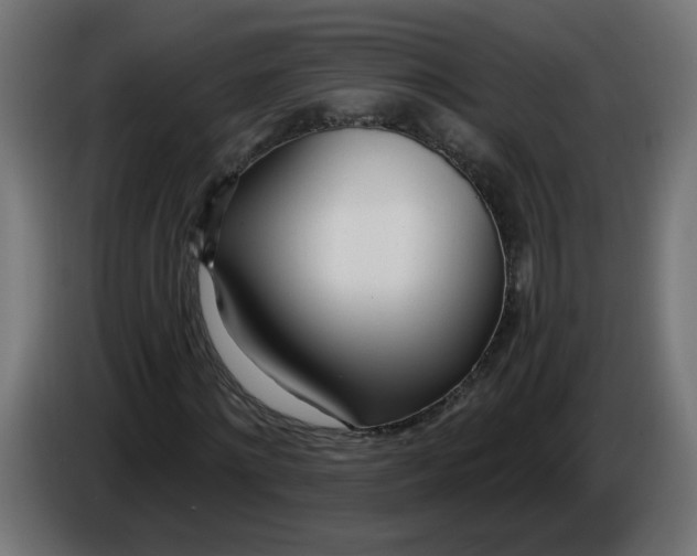 X0000086100868200704132145