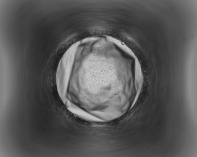 X0000086100870200704132145