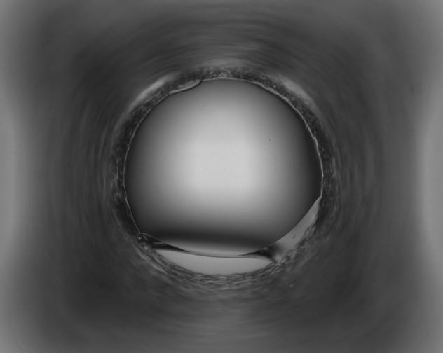 X0000086100872200704132145