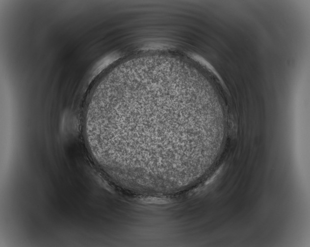 X0000086100874200704132145