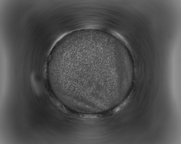 X0000086100875200704132145