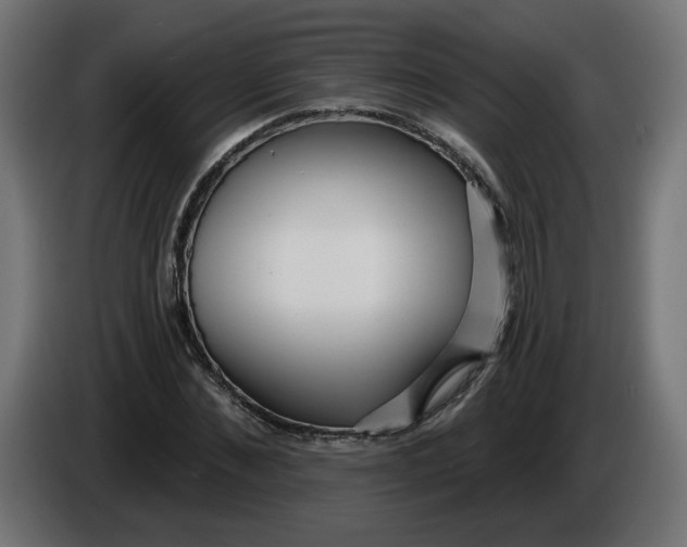 X0000086100876200704132145