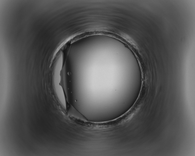 X0000086100877200704132145