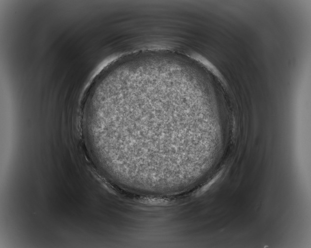 X0000086100878200704132145