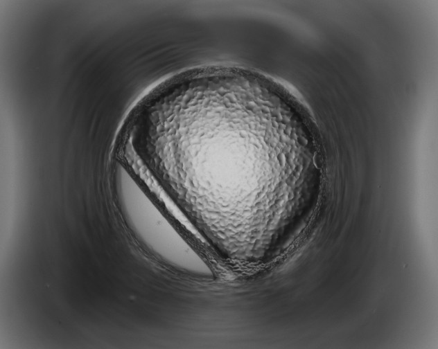 X0000086100879200704132145