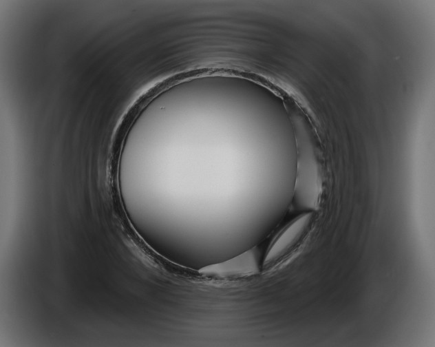 X0000086100880200704132145