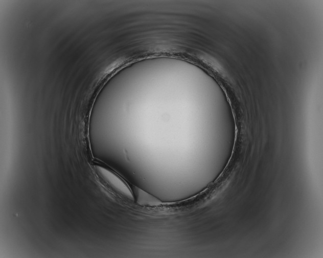 X0000086100881200704132145