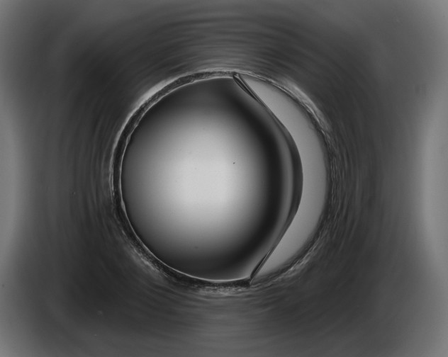 X0000086100884200704132145